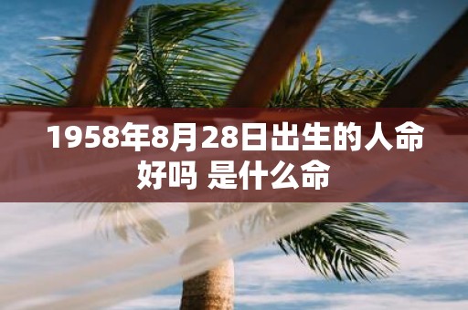 1958年8月28日出生的人命好吗 是什么命