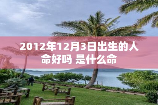 2012年12月3日出生的人命好吗 是什么命