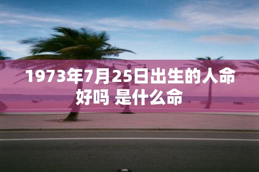 1973年7月25日出生的人命好吗 是什么命