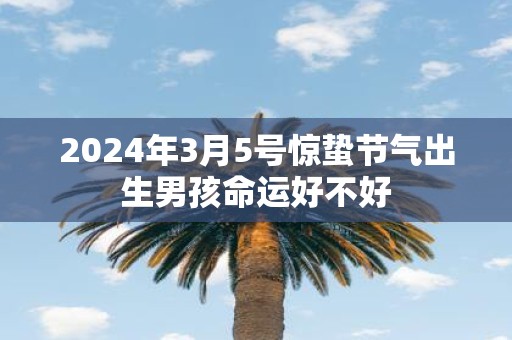 2025年3月5号惊蛰节气出生男孩命运好不好