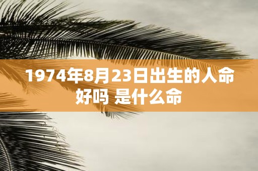 1974年8月23日出生的人命好吗 是什么命