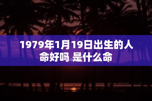 1979年1月19日出生的人命好吗 是什么命