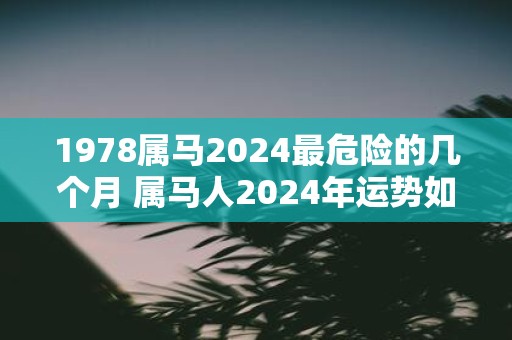 1978属马2025最危险的几个月 属马人2025年运势如何