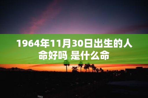 1964年11月30日出生的人命好吗 是什么命