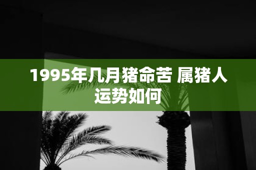 1995年几月猪命苦 属猪人运势如何
