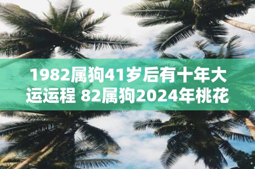 1982属狗41岁后有十年大运运程 82属狗2025年桃花劫