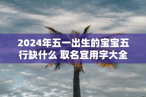 2025年五一出生的宝宝五行缺什么 取名宜用字大全集