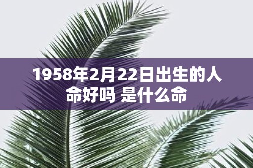 1958年2月22日出生的人命好吗 是什么命