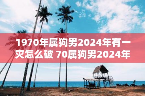 1970年属狗男2025年有一灾怎么破 70属狗男2025年有哪些灾难