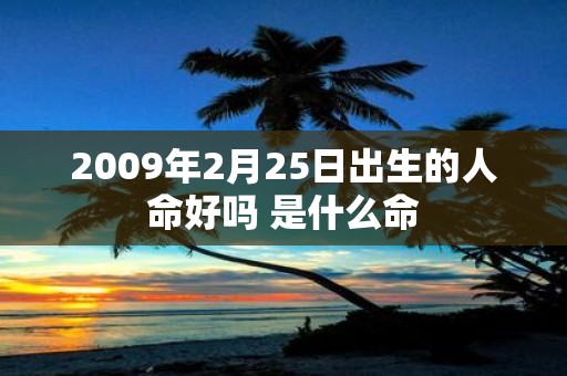 2009年2月25日出生的人命好吗 是什么命