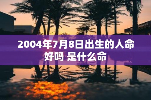 2004年7月8日出生的人命好吗 是什么命