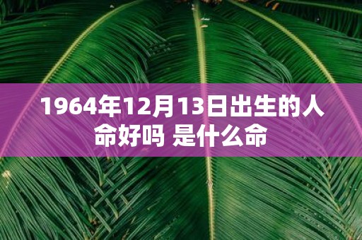 1964年12月13日出生的人命好吗 是什么命
