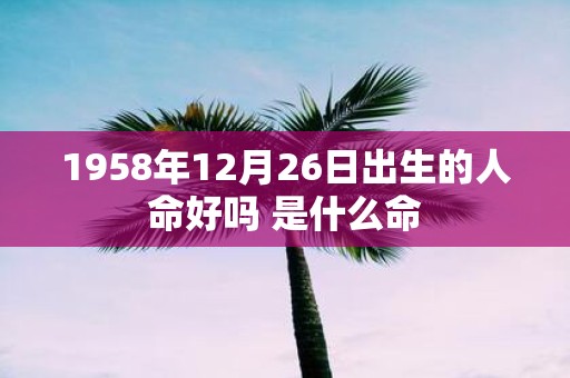 1958年12月26日出生的人命好吗 是什么命