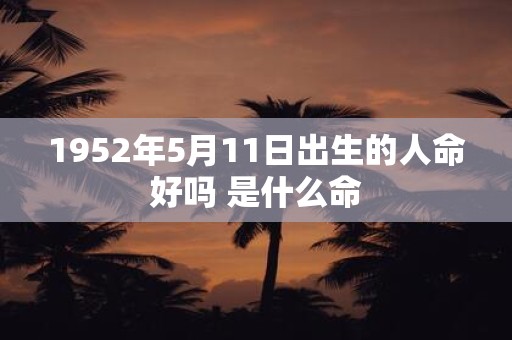 1952年5月11日出生的人命好吗 是什么命