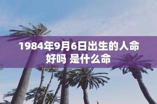 1984年9月6日出生的人命好吗 是什么命