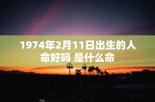 1974年2月11日出生的人命好吗 是什么命