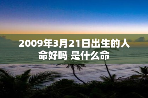 2009年3月21日出生的人命好吗 是什么命