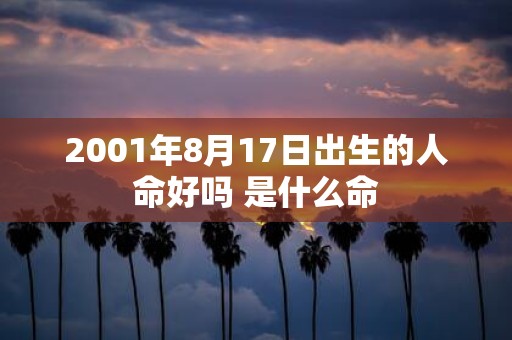 2001年8月17日出生的人命好吗 是什么命