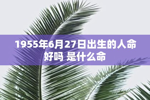 1955年6月27日出生的人命好吗 是什么命