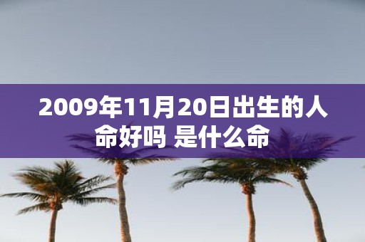2009年11月20日出生的人命好吗 是什么命