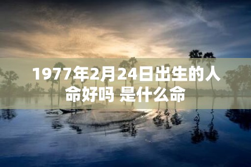 1977年2月24日出生的人命好吗 是什么命