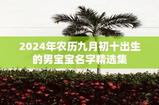 2025年农历九月初十出生的男宝宝名字精选集