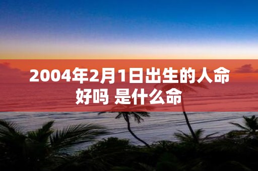 2004年2月1日出生的人命好吗 是什么命