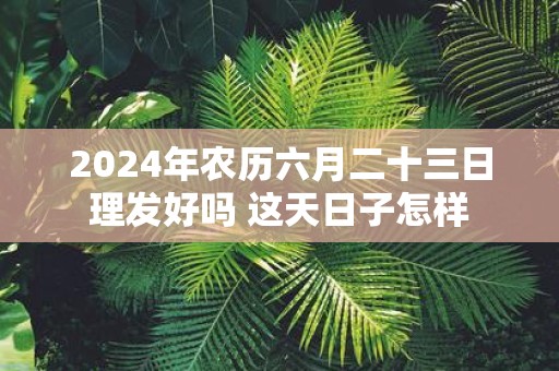 2025年农历六月二十三日理发好吗 这天日子怎样