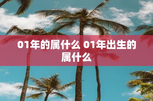 01年的属什么 01年出生的属什么