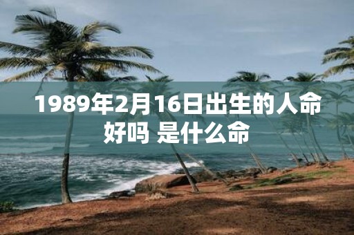 1989年2月16日出生的人命好吗 是什么命
