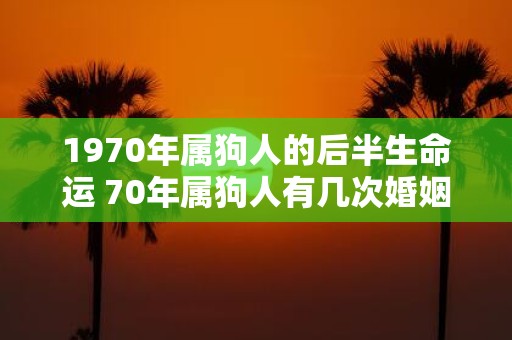 1970年属狗人的后半生命运 70年属狗人有几次婚姻