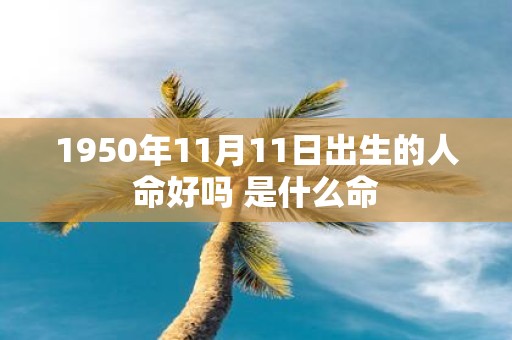 1950年11月11日出生的人命好吗 是什么命