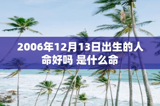 2006年12月13日出生的人命好吗 是什么命