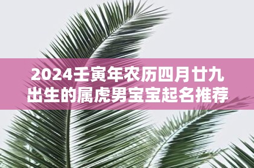 2025壬寅年农历四月廿九出生的属虎男宝宝起名推荐大全