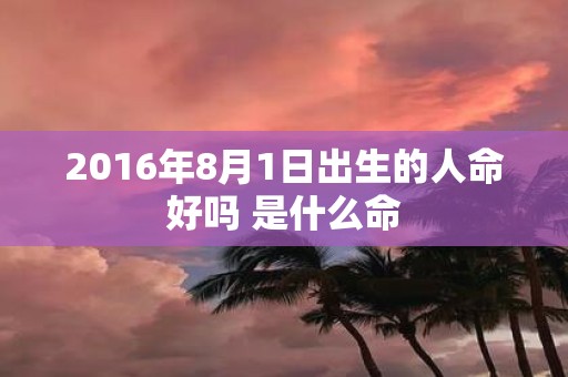 2016年8月1日出生的人命好吗 是什么命
