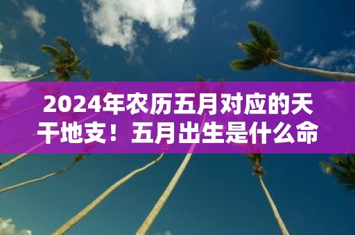 2025年农历五月对应的天干地支！五月出生是什么命格