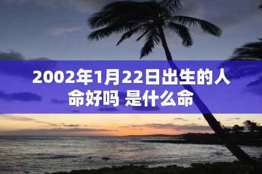 2002年1月22日出生的人命好吗 是什么命