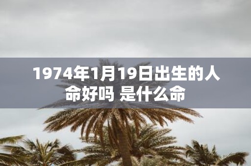 1974年1月19日出生的人命好吗 是什么命