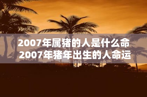 2007年属猪的人是什么命 2007年猪年出生的人命运如何