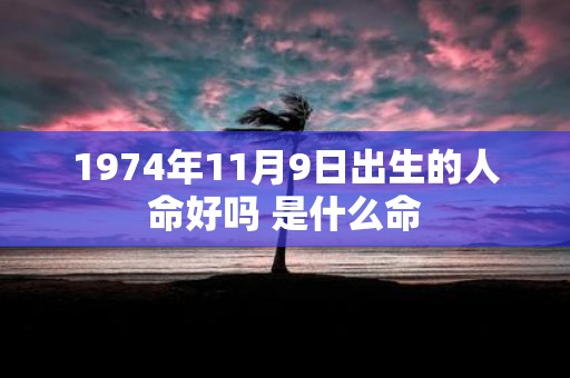 1974年11月9日出生的人命好吗 是什么命