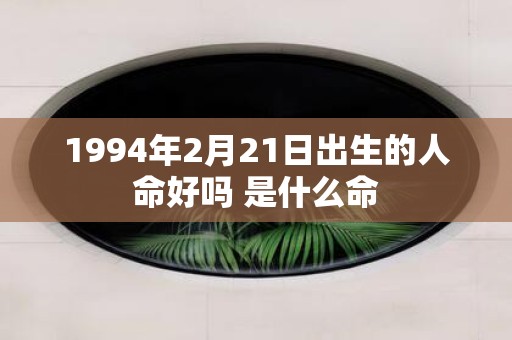 1994年2月21日出生的人命好吗 是什么命