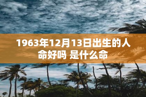 1963年12月13日出生的人命好吗 是什么命