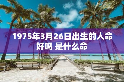 1975年3月26日出生的人命好吗 是什么命