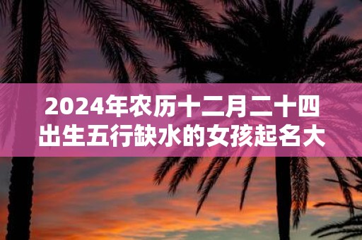 2025年农历十二月二十四出生五行缺水的女孩起名大全