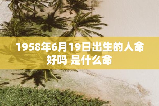 1958年6月19日出生的人命好吗 是什么命