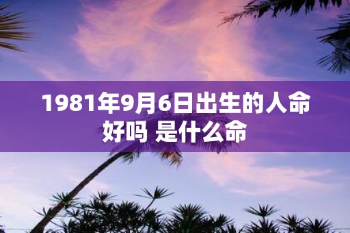 1981年9月6日出生的人命好吗 是什么命