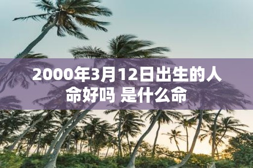 2000年3月12日出生的人命好吗 是什么命