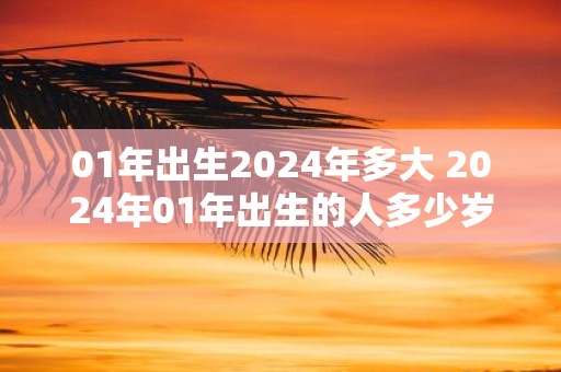 01年出生2025年多大 2025年01年出生的人多少岁