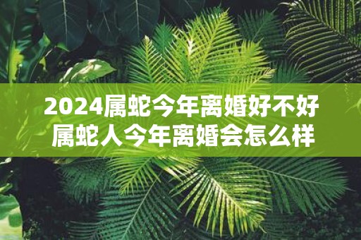 2025属蛇今年离婚好不好 属蛇人今年离婚会怎么样