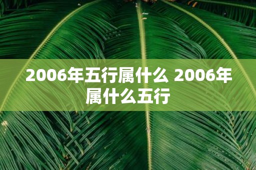 2006年五行属什么 2006年属什么五行
